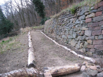 Rosengang 20090323