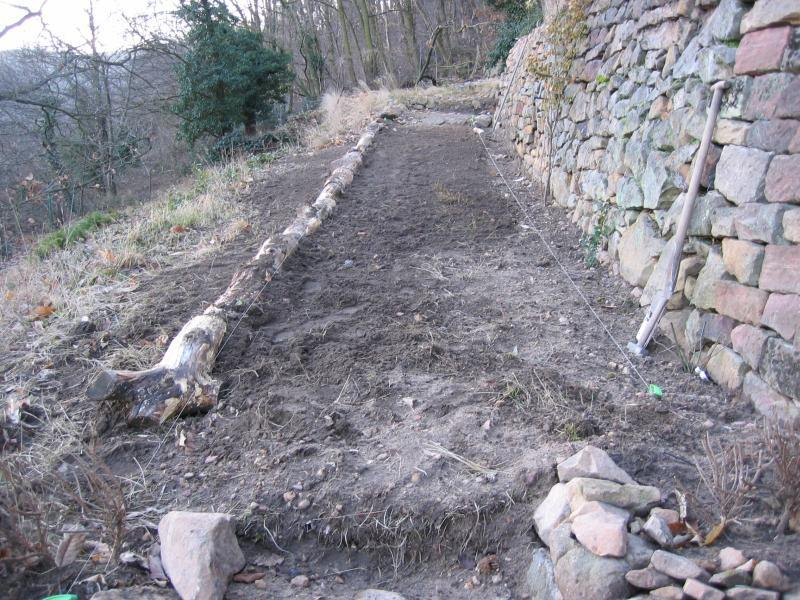 Rosengang 20090211