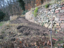 Rosengang 20081221