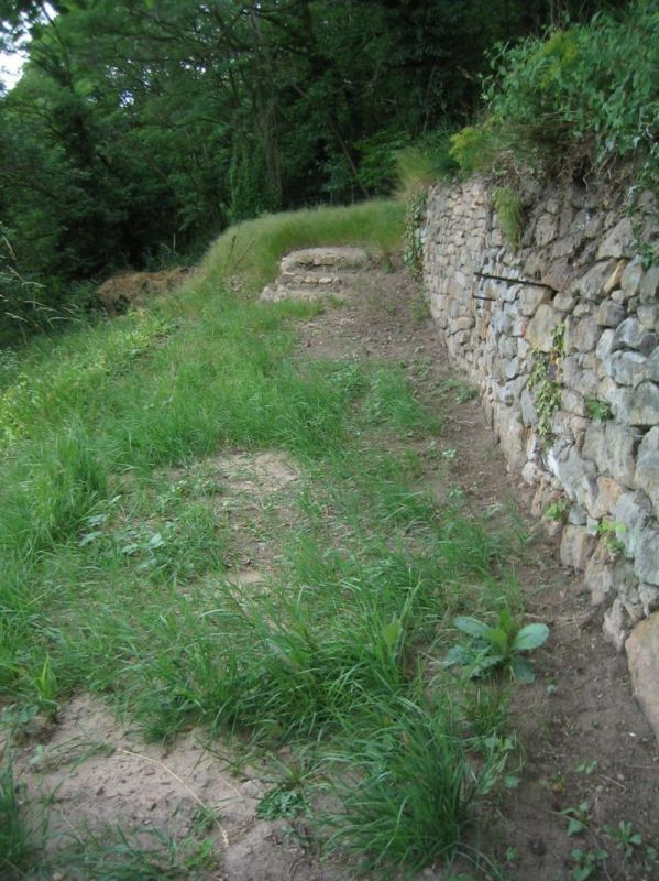 Rosengang 20050605