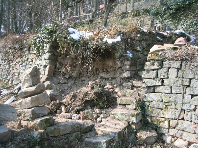 Rosengang 20050304