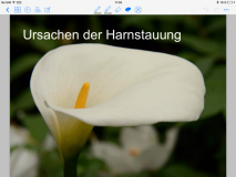 Nummer 3