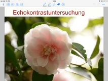 Nummer 4