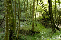 Enderttal 01