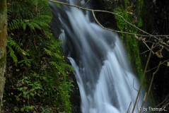 Enderttal 06