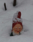 Fritz  im Schnee Januar 2010