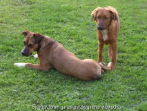 Indy und Noah