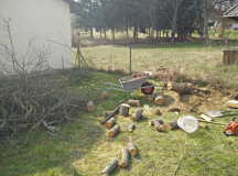 Zwetschgenbaum nachher ;)