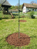 Prima 1216 und Overleese 