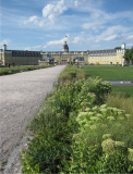 Schloss Karlsruhe 2016 08 01