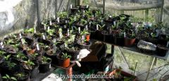Chilifarm 02.04.05