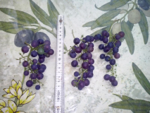 reg2-wein