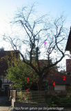 Gesamtansicht1-3_5.jpg
