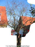 Gesamtansicht2-3_9.jpg