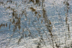 Neapel 05: Cilento