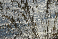 Neapel 06: Cilento