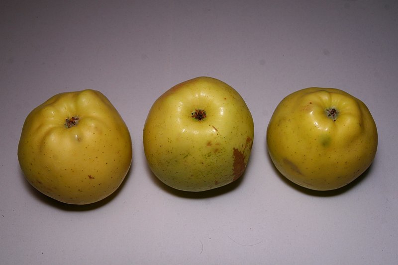 Gelber Bellefleur 6