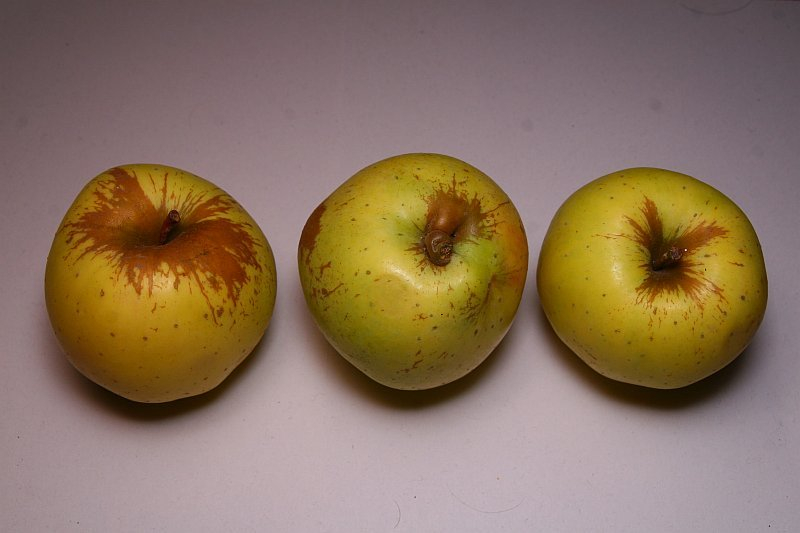 Gelber Bellefleur 5