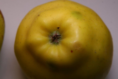 Gelber Bellefleur 3