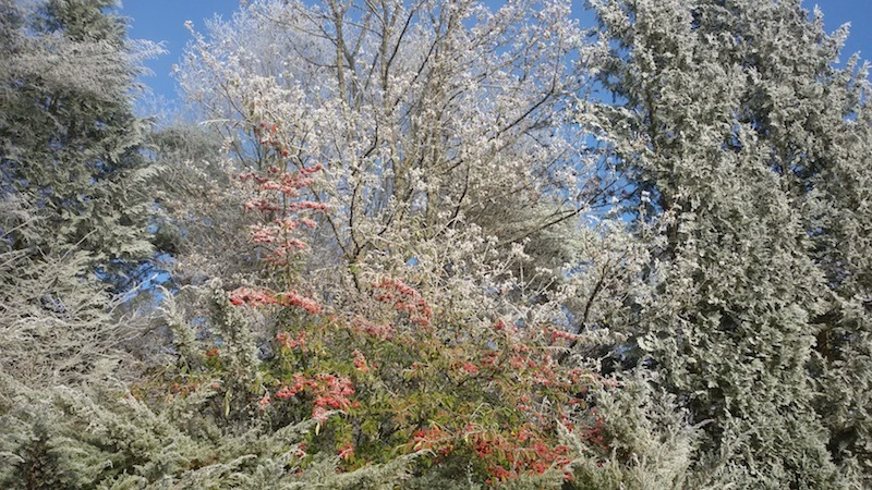 Winterlandschaft 1