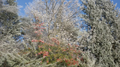 Winterlandschaft 1