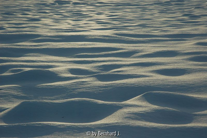 Schneemeer