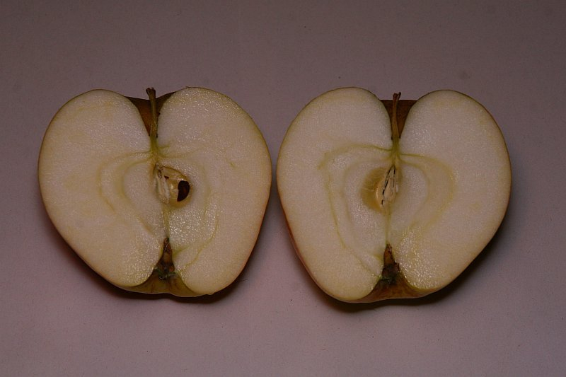 Winterbananenapfel 2