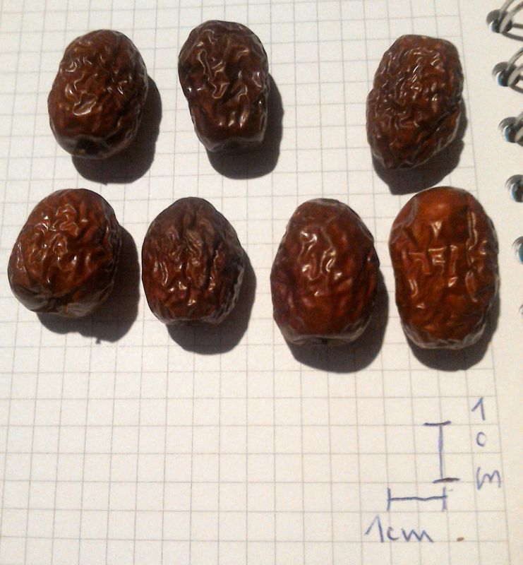jujube,klein