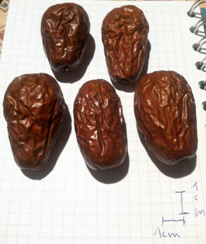 jujube,gross