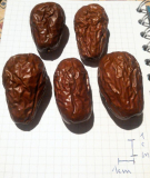 jujube,gross