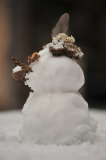 Schneepf