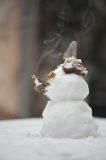 Schneezig