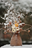 Schneestr.