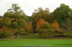 Rote Herbsttöne im Park