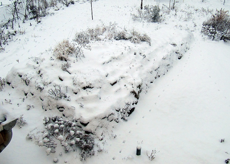 Steingarten im WInter