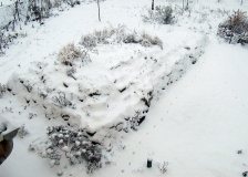Steingarten im WInter