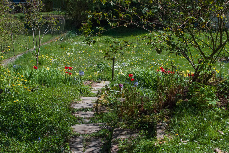 Blick in den Garten im April