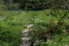 Blick in den Garten im April