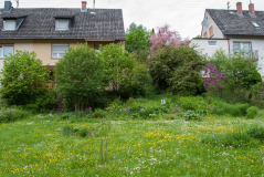 Garten im Mai