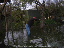 kopfsprung-im-garten.jpg