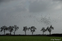 November-Eifel 2
