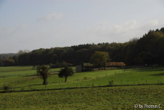 November-Eifel 4