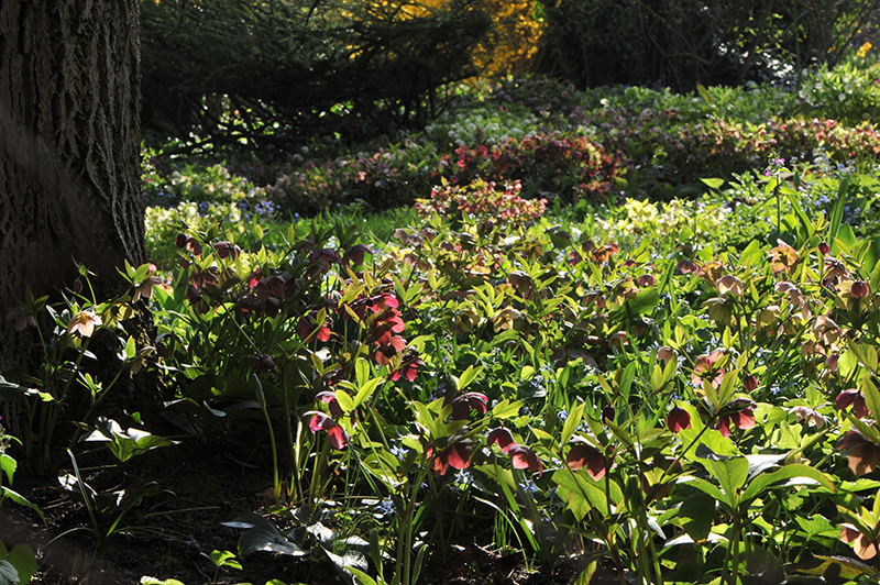 Helligarten