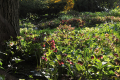 Helligarten