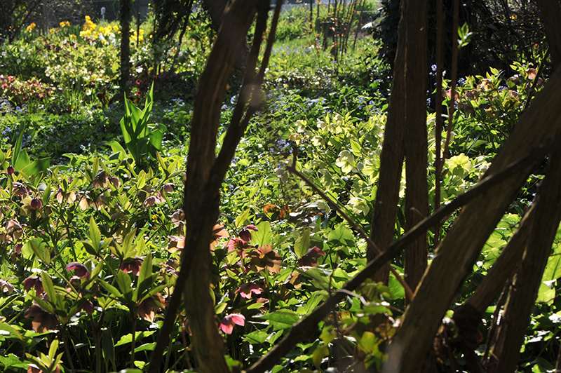 Helligarten2