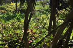 Helligarten2