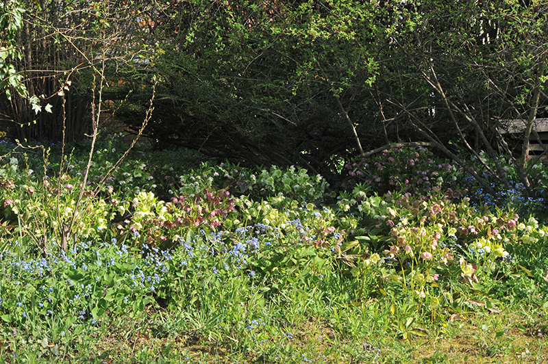 Helligarten4