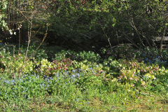 Helligarten4
