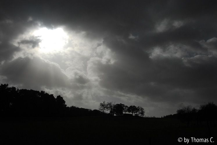 November-Eifel 8