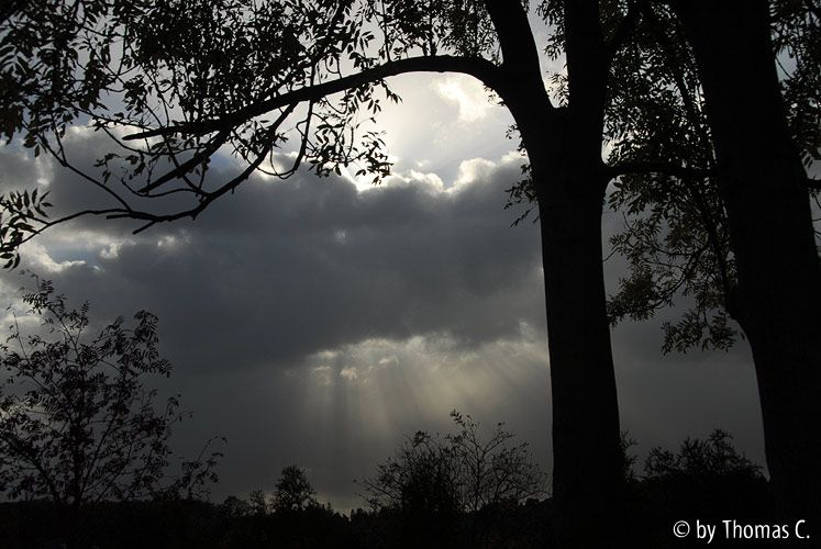 November-Eifel 9